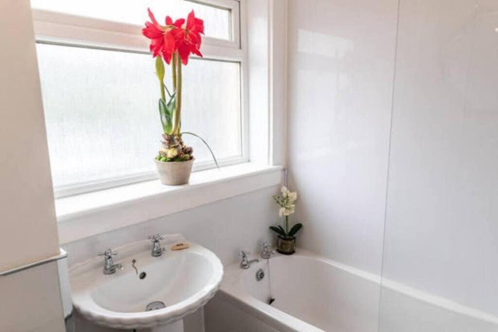 Cosy 1 Bed With Parking In City Centre Apartment Glasgow Bagian luar foto
